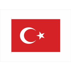 Türk Bayrağı Patch - Kola ve Göğse Yapıştırılır